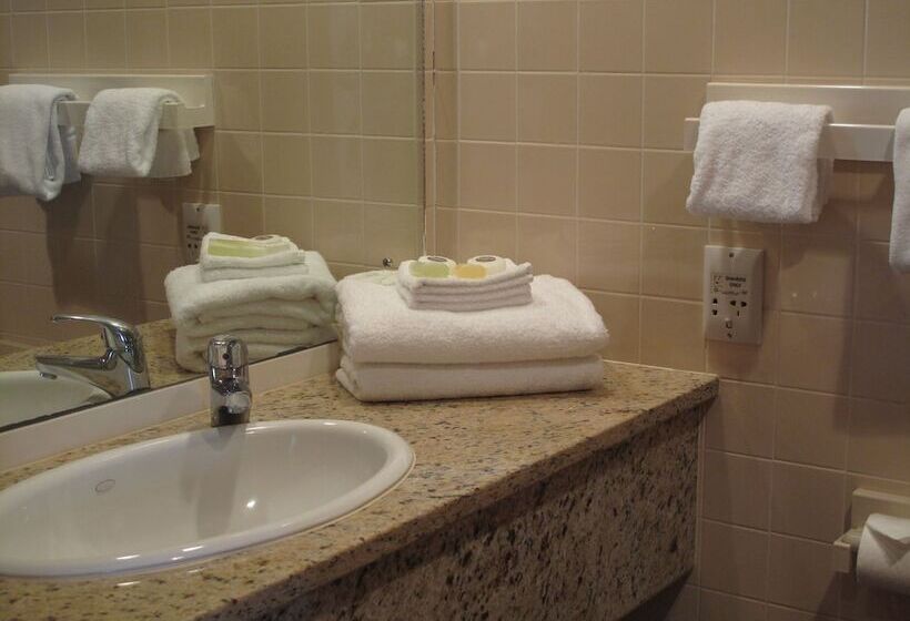 חדר סטודיו סטנדרד, Auto Lodge