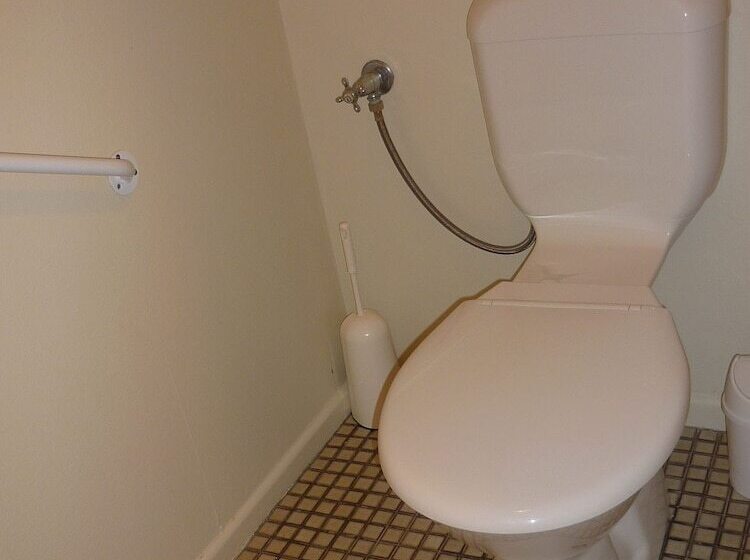 شقة غرفة واحدة, Spanish Lady Motel