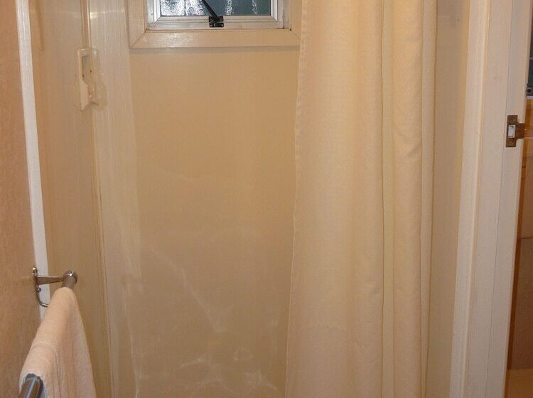 غرفة قياسية فردية, Spanish Lady Motel