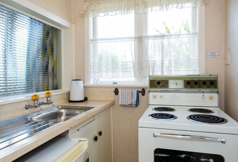 غرفة قياسية فردية, Spanish Lady Motel