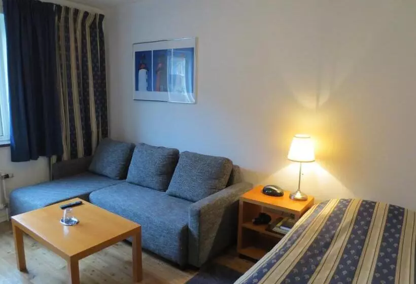 Standart Tek Kişilik Oda, Goingehof