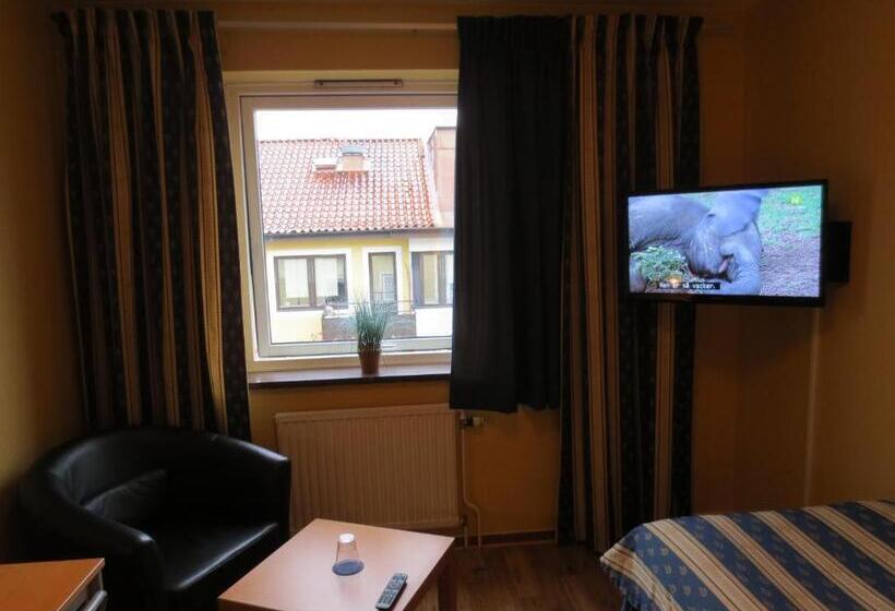 スタンダードシングルルーム, Goingehof