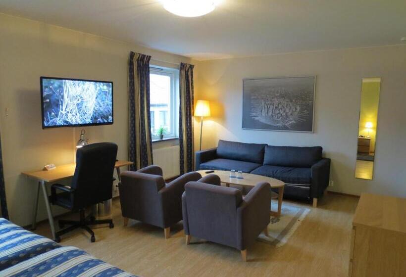 חדר סטנדרט, Goingehof