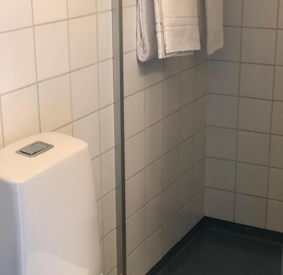 חדר סטנדרט, L älvdalen