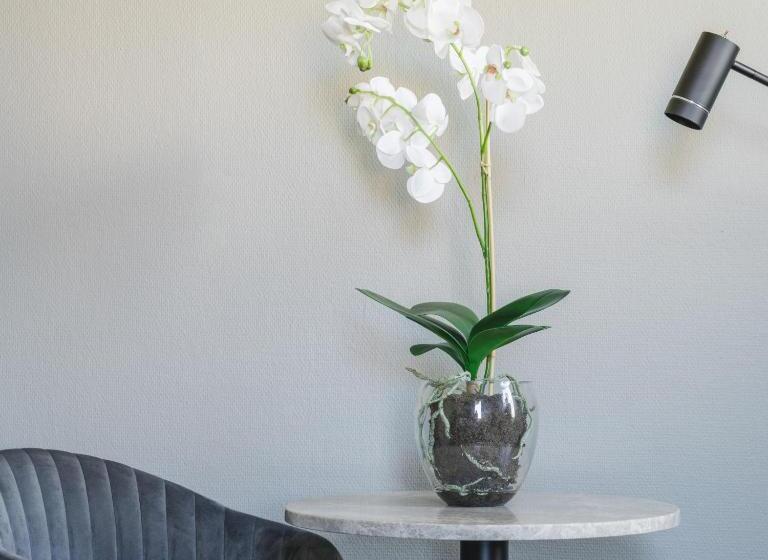 Номер Basic, Vici Hotels