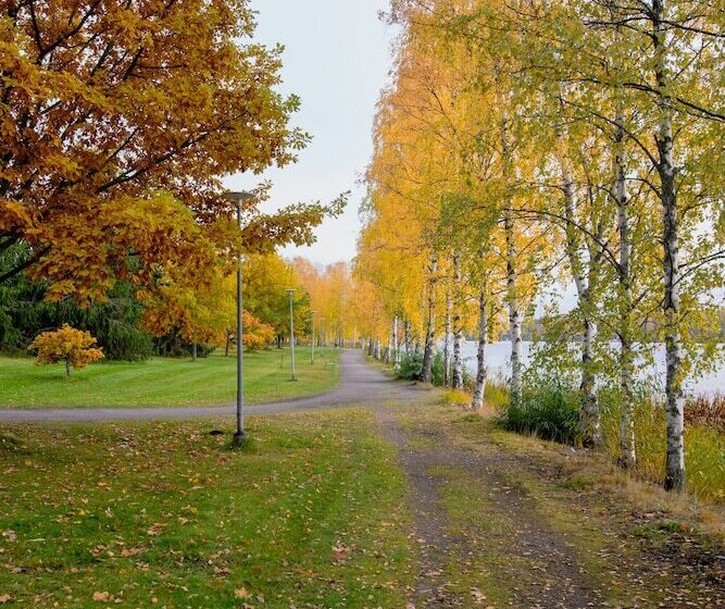 غرفة قياسية مزودة بجاكوزى, Kumpeli Spa