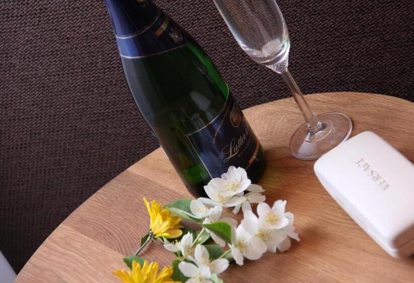 Номер Стандарт Плюс, Loimaan Seurahuone