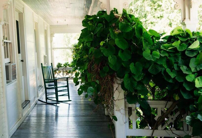 Номер Стандарт, Basin Harbor