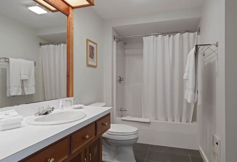 Хижина, Basin Harbor