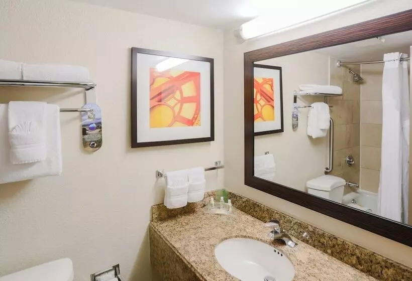 ２ダブルベッドのスタンダードルーム, Holiday Inn Austin Midtown, An Ihg