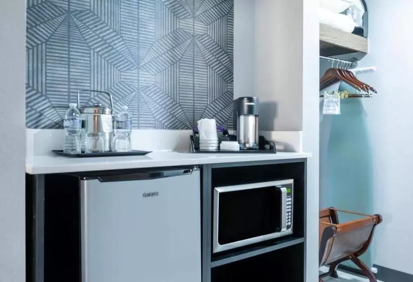 اتاق استاندارد برای معلولان, Wyndham Indianapolis Airport