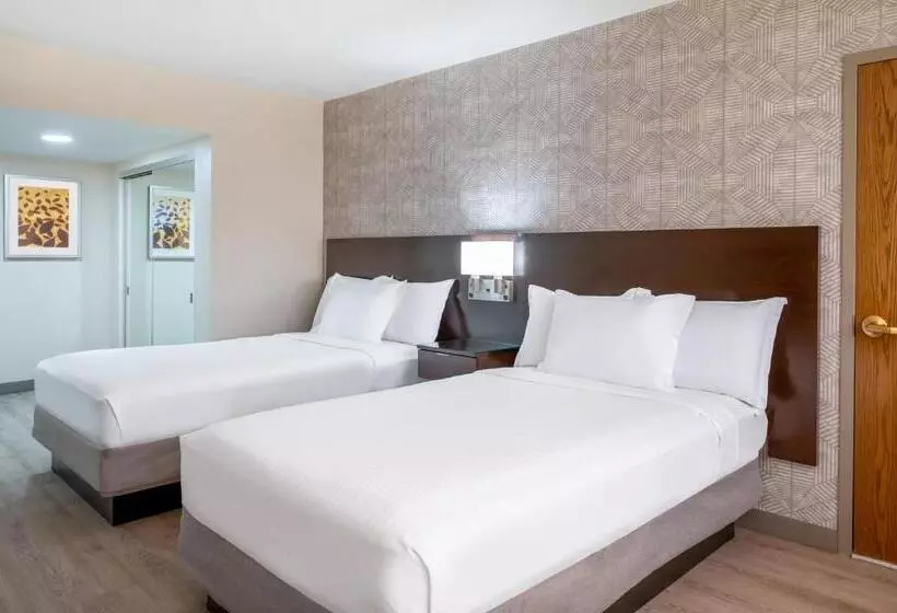 اتاق استاندارد برای معلولان, Wyndham Indianapolis Airport