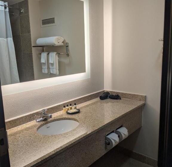 Habitación Estándar Adaptada para Discapacitados, Wyndham Indianapolis Airport