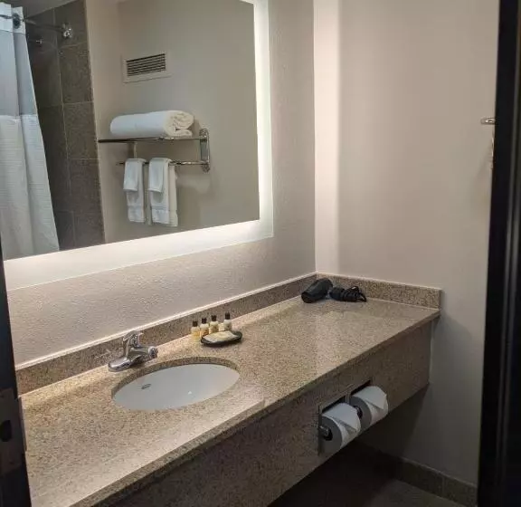 اتاق استاندارد برای معلولان, Wyndham Indianapolis Airport