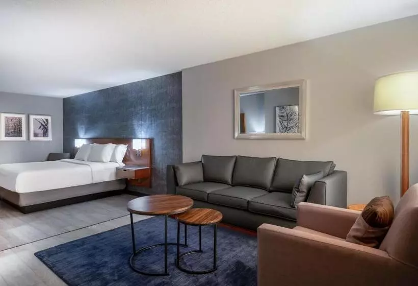 اتاق اجرایی با تخت بزرگ, Wyndham Indianapolis Airport