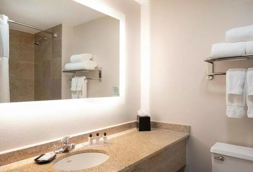 اتاق اجرایی با تخت بزرگ, Wyndham Indianapolis Airport