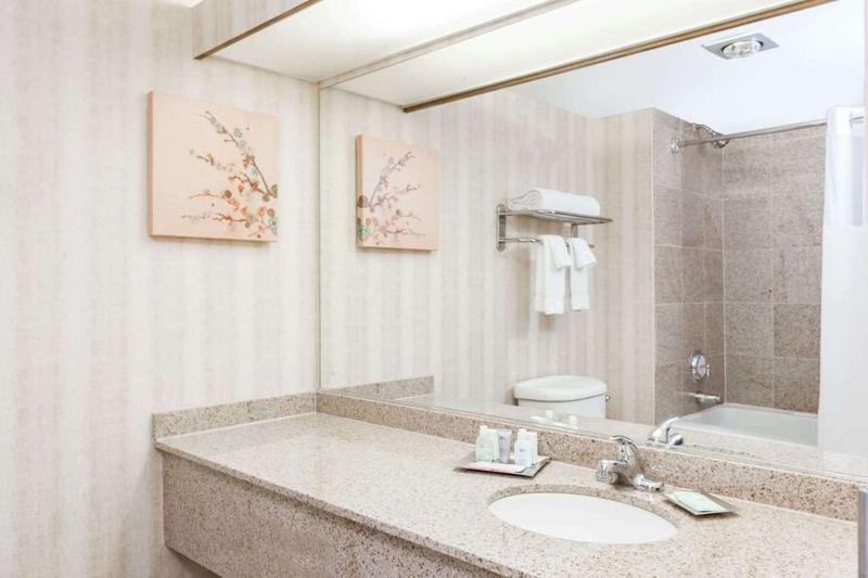 Habitación Estándar, Wyndham Indianapolis Airport