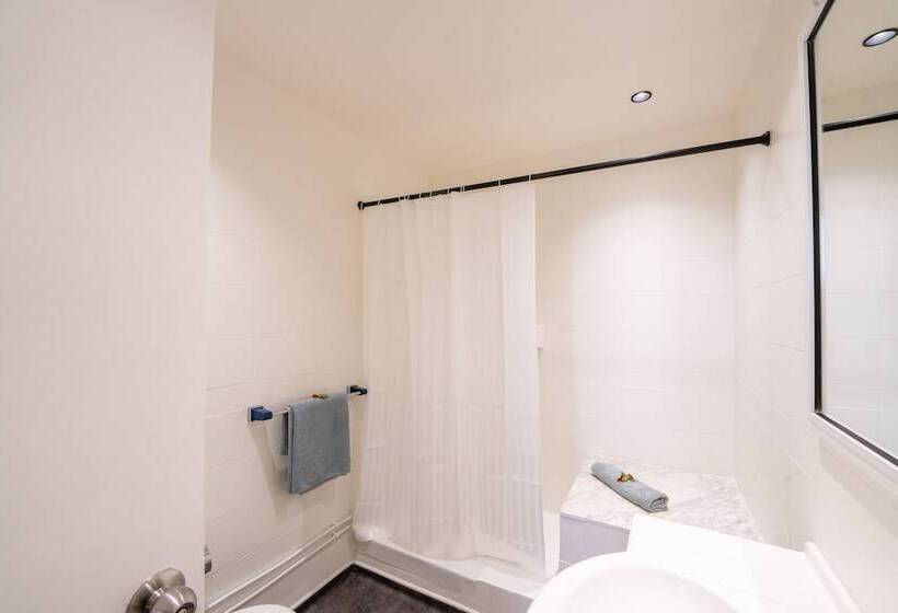 اتاق استاندارد یک نفره, Ibn Khaldoun