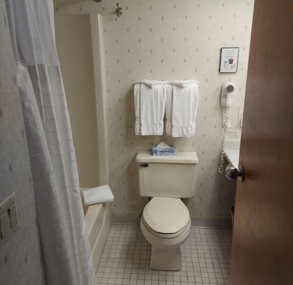 디럭스 스위트 킹 침대, Fireside Inn & Suites Gilford