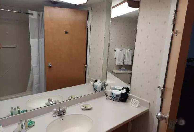 キングサイズベッドのデラックススイート, Fireside Inn & Suites Gilford