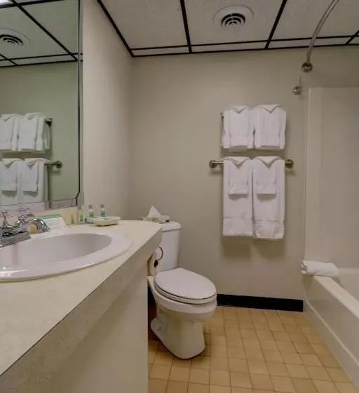 デラックスルーム, Fireside Inn & Suites Gilford