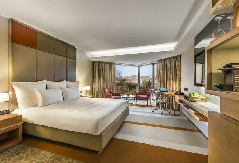 キングサイズベッドのスタンダードルーム, Swissotel The Bosphorus Istanbul