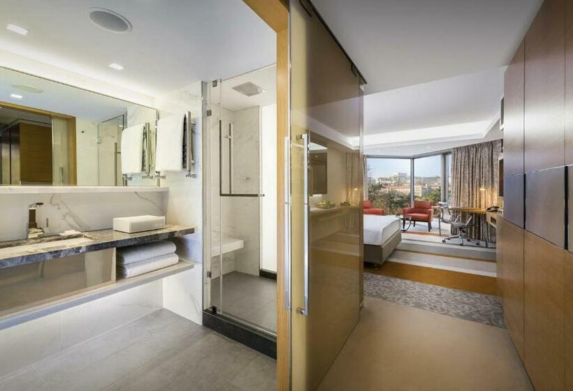 اتاق استاندارد با تخت بزرگ, Swissotel The Bosphorus Istanbul