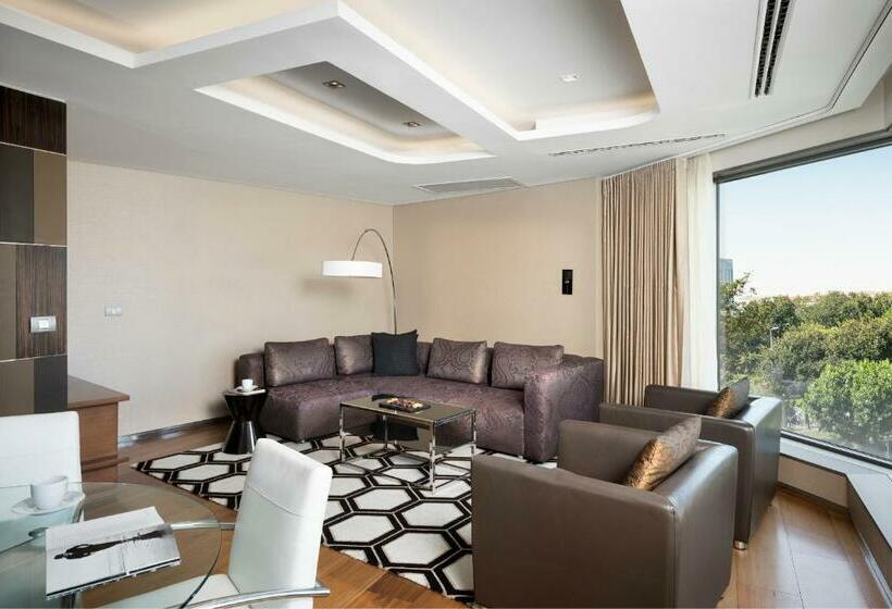 آپارتمان 2 خوابه, Swissotel The Bosphorus Istanbul