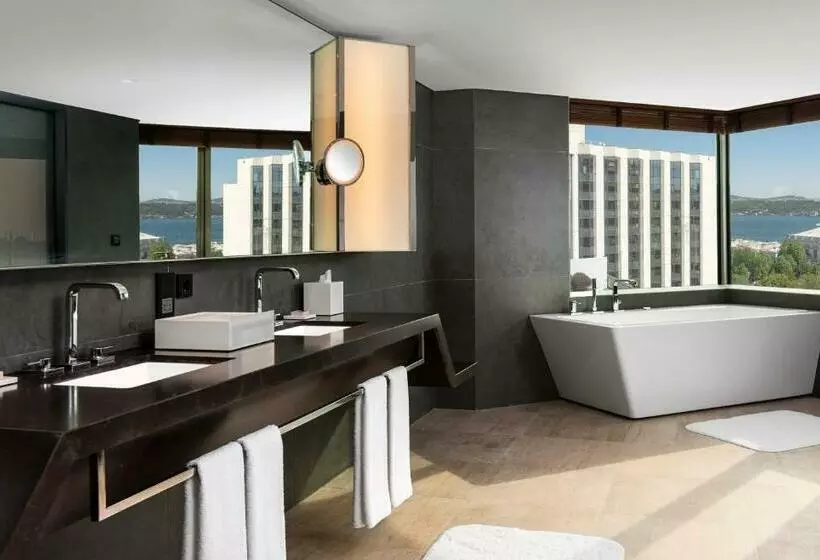 2 Bedroom Apartment, Swissotel The Bosphorus Istanbul