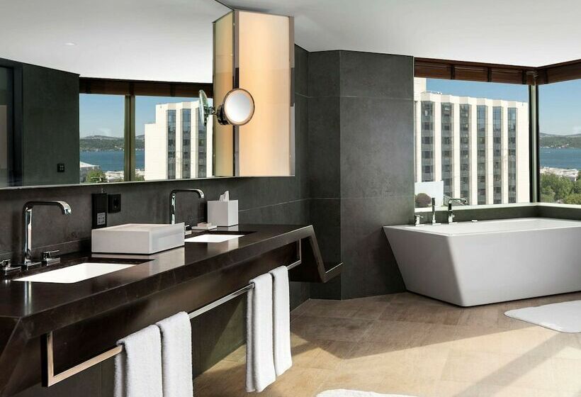 آپارتمان 2 خوابه, Swissotel The Bosphorus Istanbul