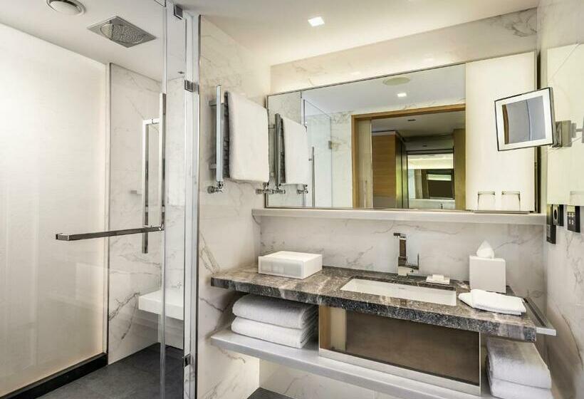 اتاق استاندارد با چشمانداز, Swissotel The Bosphorus Istanbul