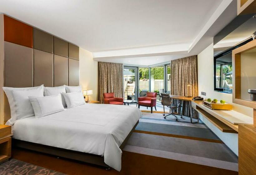 اتاق استاندارد با چشمانداز استخر, Swissotel The Bosphorus Istanbul