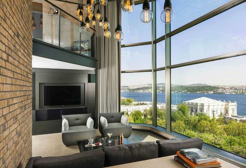 اتاق استاندارد, Swissotel The Bosphorus Istanbul