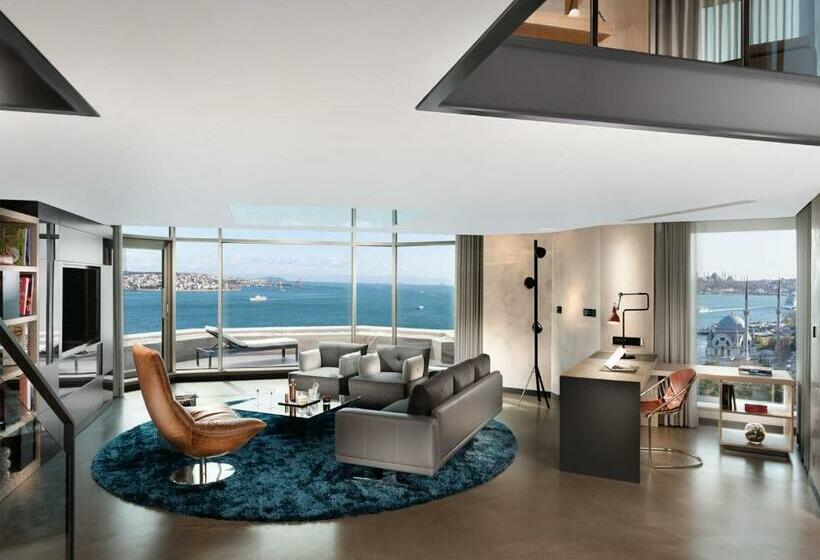 آپارتمان 2 خوابه با تراس, Swissotel The Bosphorus Istanbul