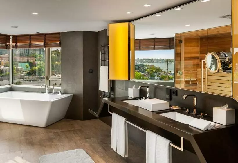 2 Bedroom Apartment with Terrace, Swissotel The Bosphorus Istanbul