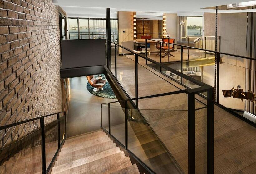 آپارتمان 2 خوابه با تراس, Swissotel The Bosphorus Istanbul