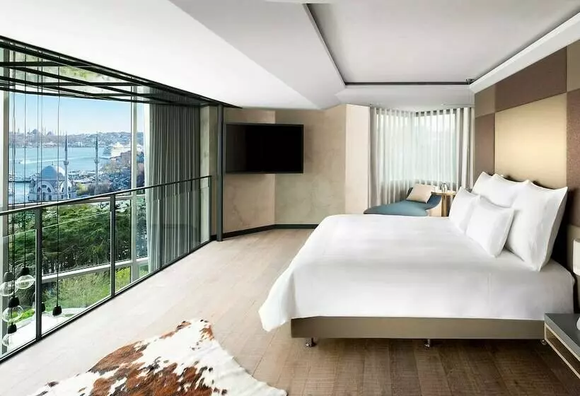 2 Bedroom Apartment with Terrace, Swissotel The Bosphorus Istanbul