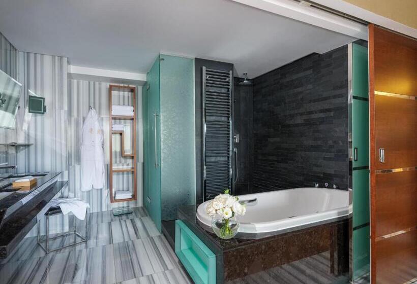 2 Bedroom Apartment with Views, Swissotel The Bosphorus Istanbul