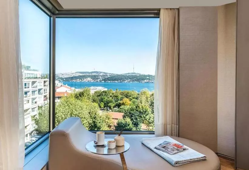 1 Bedroom Apartment Sea View, Swissotel The Bosphorus Istanbul