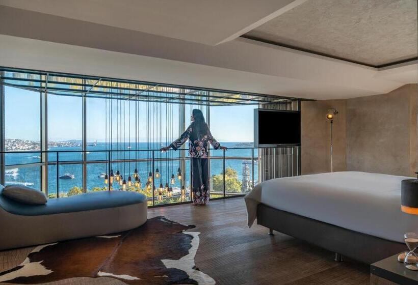 آپارتمان 2 خوابه با تراس, Swissotel The Bosphorus Istanbul