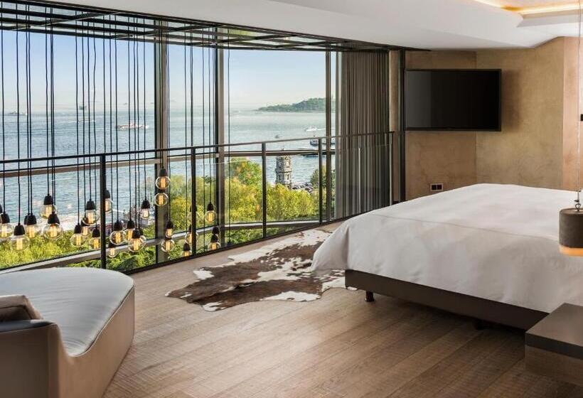 テラスつきの２ベッドルームアパートメント, Swissotel The Bosphorus Istanbul