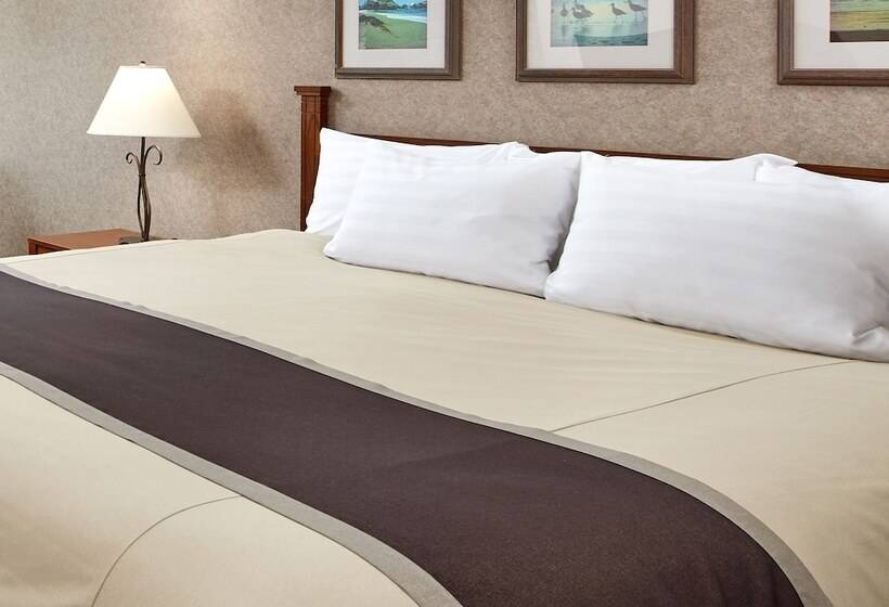 프리미엄 룸 바다 전망, Cavalier Oceanfront Resort