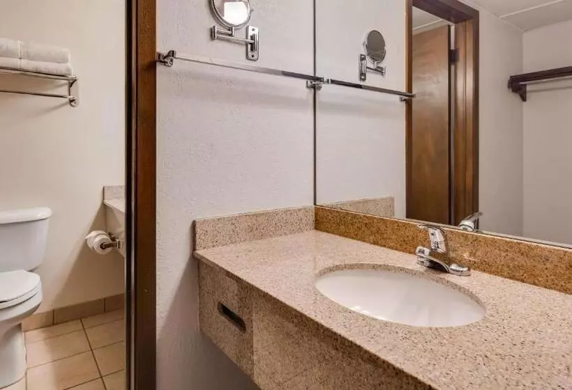 Standard-huone King-vuode, Best Western Angus Inn