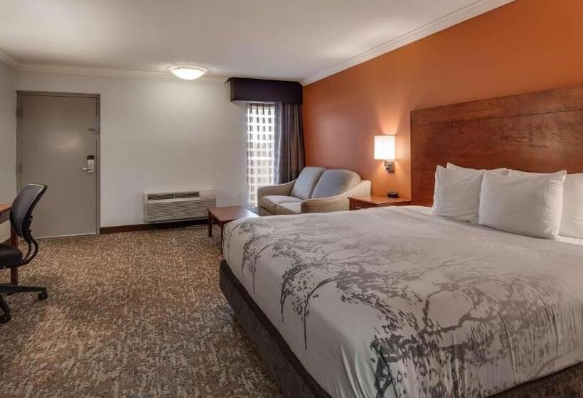 带大床的标准间, Best Western Angus Inn