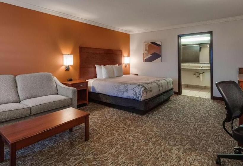 带大床的标准间, Best Western Angus Inn