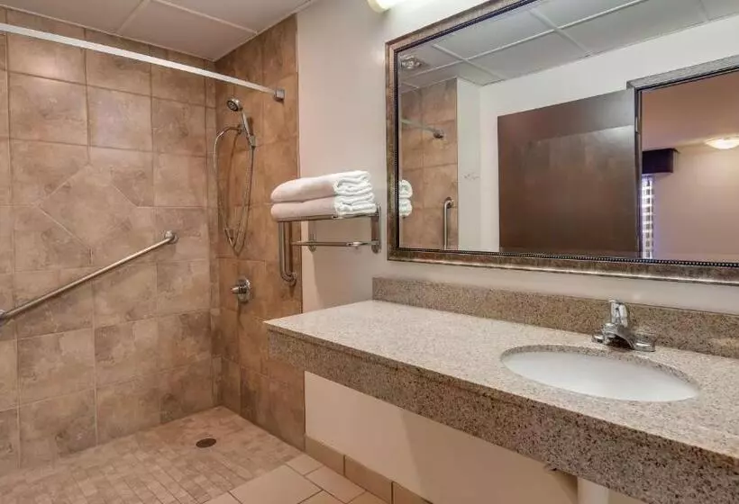 Standard-invahuone King-vuode, Best Western Angus Inn