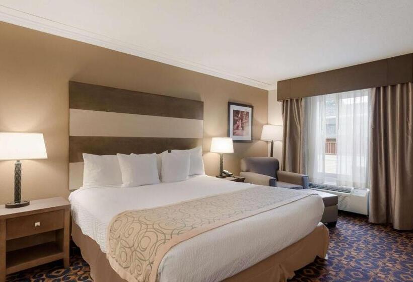 스탠다드 룸 킹사이즈 침대, Best Western Butch Cassidy Inn