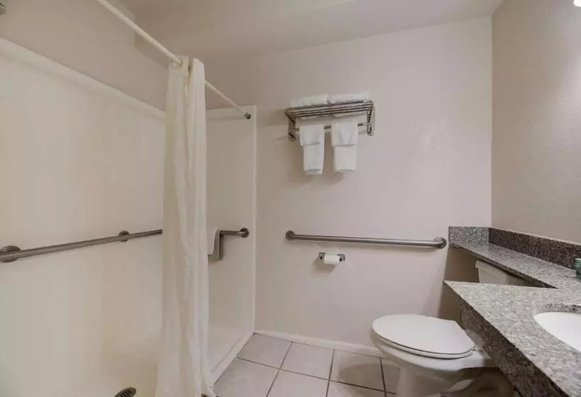 身障者適用キングサイズベッドルーム, Best Western Butch Cassidy Inn