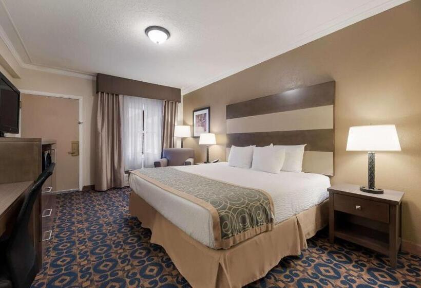 身障者適用キングサイズベッドルーム, Best Western Butch Cassidy Inn
