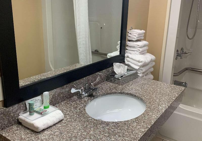 Номер Стандарт Адаптированный для Инвалидов, Best Western Conway